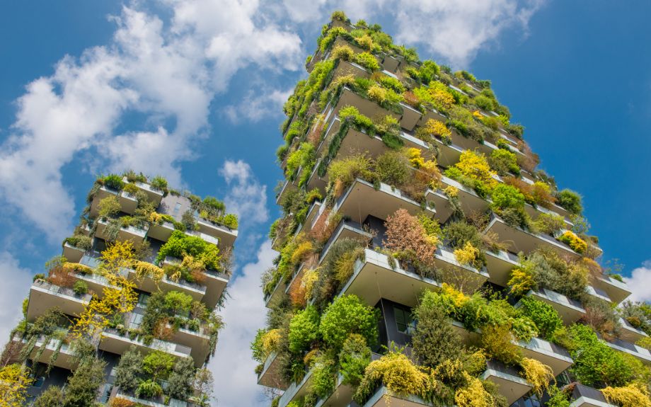 Vertical Gardening in your own home
