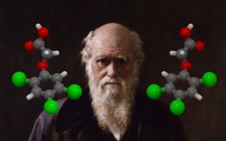 Darwin's Legacy: Auxins & Modern Horticulture