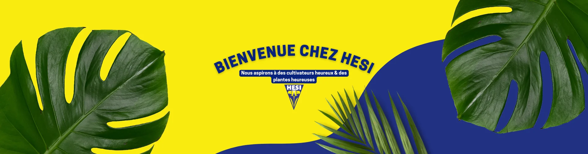 New banner welcome to hesi FR