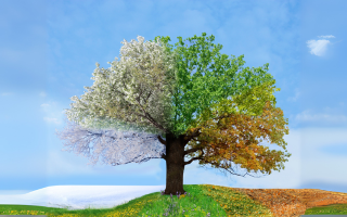 HESI for every season! A Year-Round Plant Care Guide