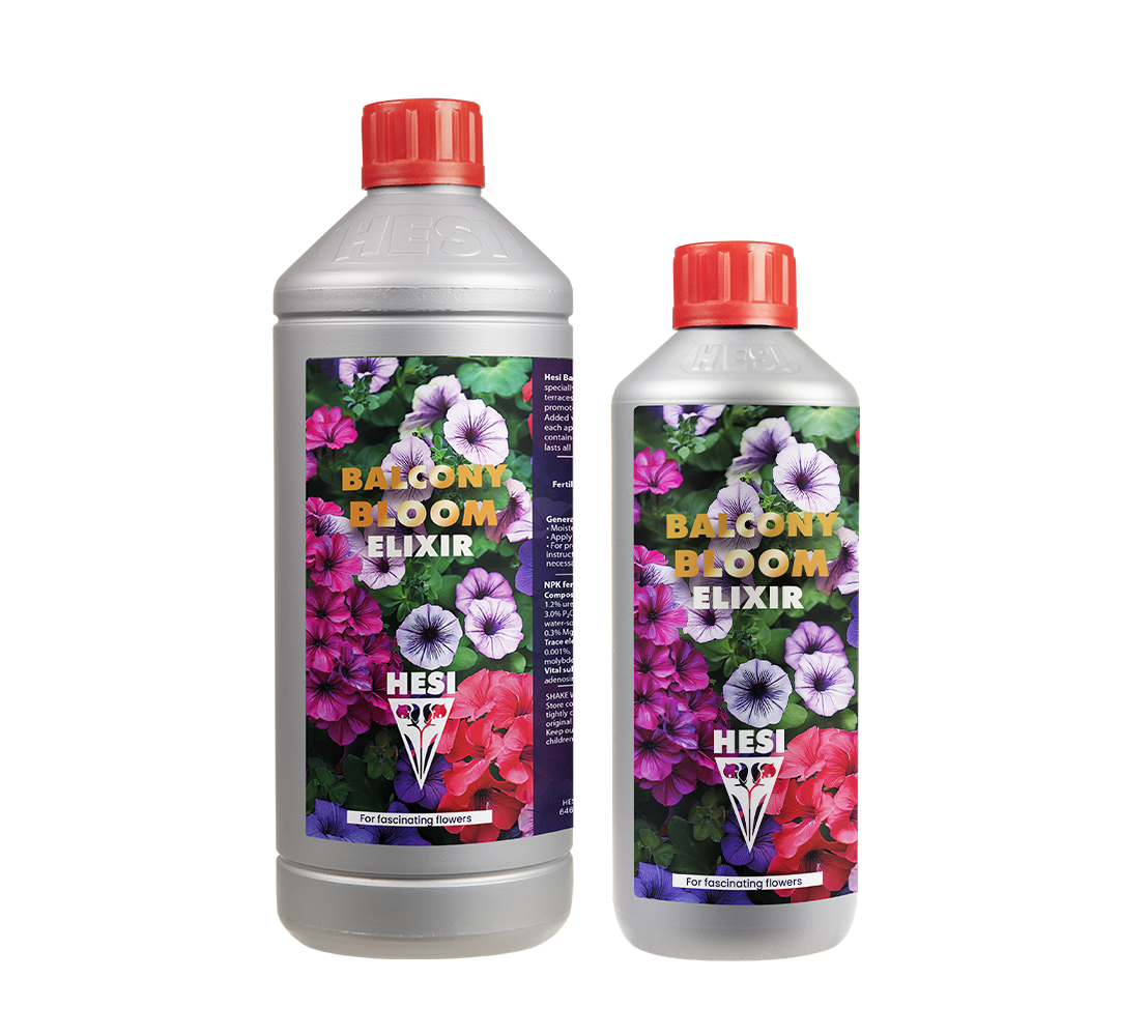 Balcony Bloom Elixir