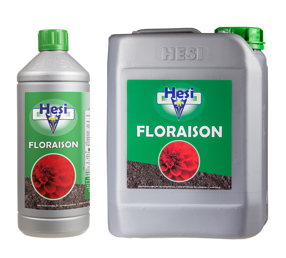 Hesi Floraison