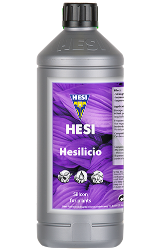 Hesilicio
