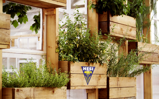 Indoor kitchen garden guide | grow your own edible herbs, veggies & fruits
