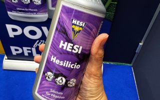 Hesilicio: Discover the Power of Silicon for Healthy Plants