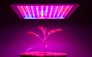 Different Types of Horticultural Lighting
