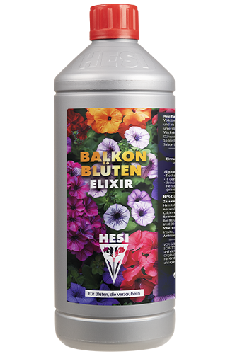 Balkon Blüten Elixir