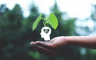The importance of plants for our well-being