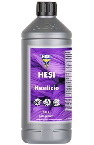 Hesilicio