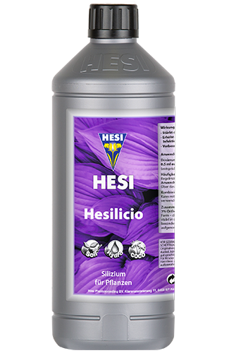 Hesilicio